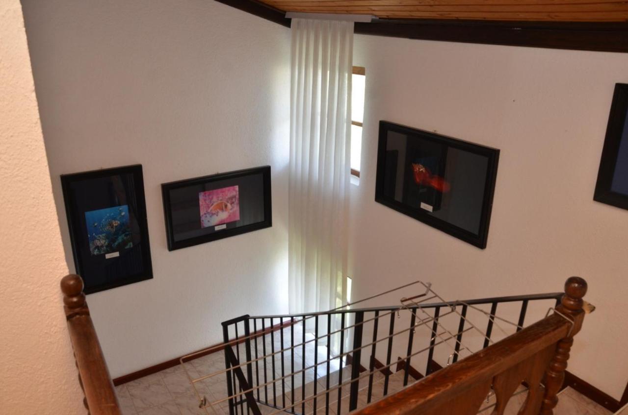 Vila Delfin Ohrid Buitenkant foto